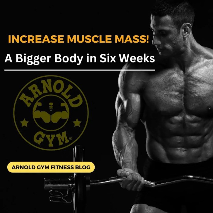 Importance of muscle mass for overall health