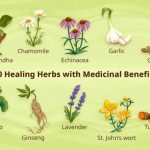 Benefits of herbal remedies for skin care