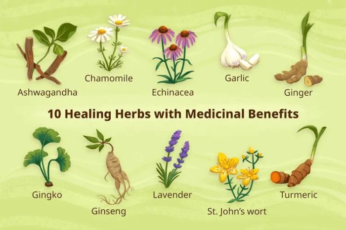 Benefits of herbal remedies for skin care