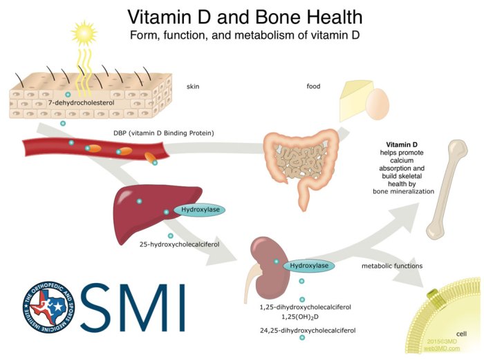 Benefits of vitamin D for bone health and density